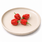 Ớt Habanero